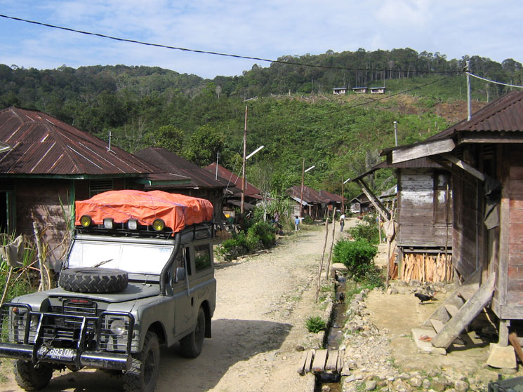 mitragyna mikroskopie &copy; Kratomgarden