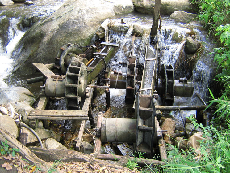 mitragyna mikroskopie &copy; Kratomgarden