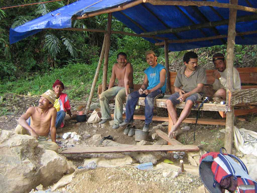 mitragyna mikroskopie &copy; Kratomgarden