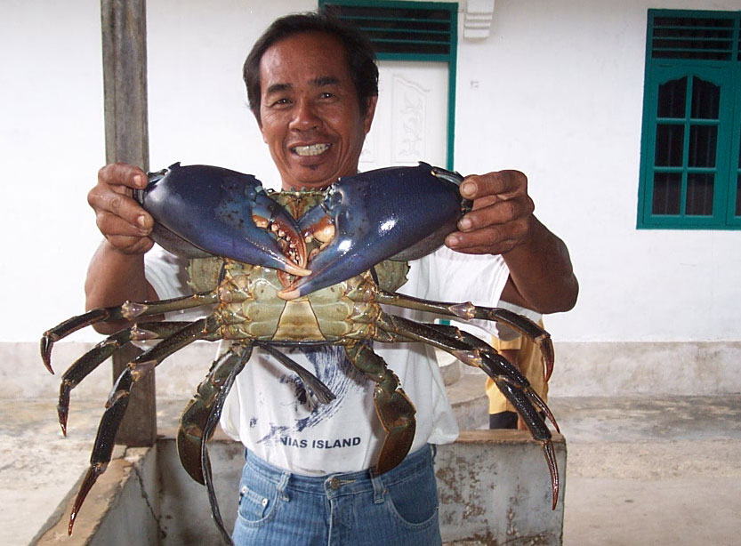 just a crab; Kratomgarden